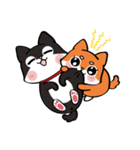 Shiba couple（個別スタンプ：4）