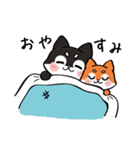 Shiba couple（個別スタンプ：29）