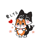Shiba couple（個別スタンプ：38）