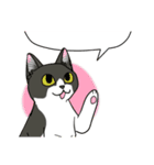 ねこねこ劇場まりんらんど その2（個別スタンプ：2）