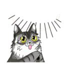 ねこねこ劇場まりんらんど その2（個別スタンプ：5）