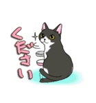 ねこねこ劇場まりんらんど その2（個別スタンプ：6）