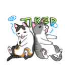 ねこねこ劇場まりんらんど その2（個別スタンプ：14）