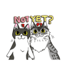 ねこねこ劇場まりんらんど その2（個別スタンプ：15）
