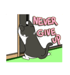 ねこねこ劇場まりんらんど その2（個別スタンプ：17）