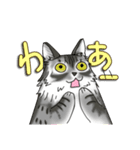 ねこねこ劇場まりんらんど その2（個別スタンプ：21）