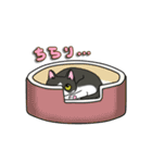 ねこねこ劇場まりんらんど その2（個別スタンプ：25）