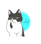 ねこねこ劇場まりんらんど その2（個別スタンプ：27）
