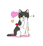 ねこねこ劇場まりんらんど その2（個別スタンプ：37）