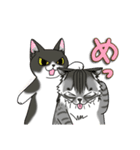 ねこねこ劇場まりんらんど その2（個別スタンプ：39）