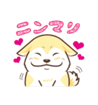 柴専（柴犬専用）（個別スタンプ：2）