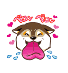 柴専（柴犬専用）（個別スタンプ：4）