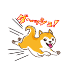 柴専（柴犬専用）（個別スタンプ：5）