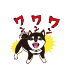 柴専（柴犬専用）（個別スタンプ：6）