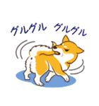 柴専（柴犬専用）（個別スタンプ：9）