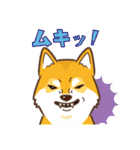 柴専（柴犬専用）（個別スタンプ：10）