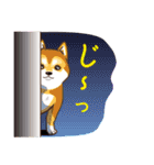 柴専（柴犬専用）（個別スタンプ：12）