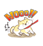 柴専（柴犬専用）（個別スタンプ：18）
