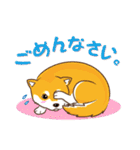 柴専（柴犬専用）（個別スタンプ：24）