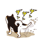 柴専（柴犬専用）（個別スタンプ：27）