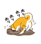柴専（柴犬専用）（個別スタンプ：29）