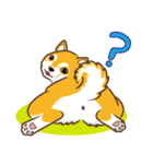 柴専（柴犬専用）（個別スタンプ：30）