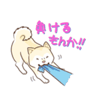 柴専（柴犬専用）（個別スタンプ：31）