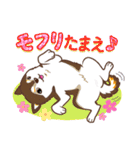 柴専（柴犬専用）（個別スタンプ：32）