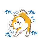 柴専（柴犬専用）（個別スタンプ：35）