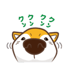 柴専（柴犬専用）（個別スタンプ：36）