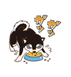 柴専（柴犬専用）（個別スタンプ：38）