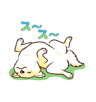 柴専（柴犬専用）（個別スタンプ：39）