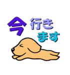 ていねいなわんこ 犬スタンプ（個別スタンプ：25）