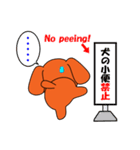 トイプードルのトミー（個別スタンプ：29）