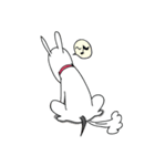 Moji Dog - Happy BullTerrier Dog Sticker（個別スタンプ：38）