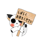 牛柄猫の日常（個別スタンプ：31）