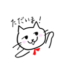 sometime ribboncat（個別スタンプ：6）