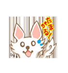 大分弁を話すチワワ（個別スタンプ：11）