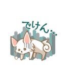 大分弁を話すチワワ（個別スタンプ：19）
