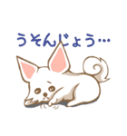 大分弁を話すチワワ（個別スタンプ：23）