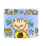 korisu-san（個別スタンプ：6）