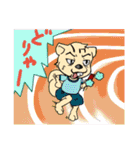 korisu-san（個別スタンプ：37）