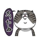 媚びないもっちりネコ「野良ドラ雄」（個別スタンプ：17）