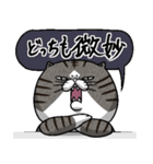 媚びないもっちりネコ「野良ドラ雄」（個別スタンプ：25）