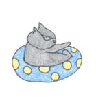 太っちょ猫（個別スタンプ：20）