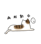 かきはらひとみ ゆる猫すたんぷ（個別スタンプ：5）