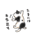 かきはらひとみ ゆる猫すたんぷ（個別スタンプ：10）