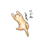 かきはらひとみ ゆる猫すたんぷ（個別スタンプ：19）