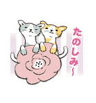 Cotorienne 動物スタンプ集（個別スタンプ：20）