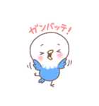 ぴよぴよインコ（個別スタンプ：13）